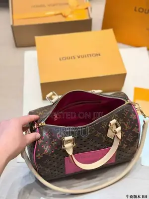 Classic Louis Vuitton Women’s Handbag