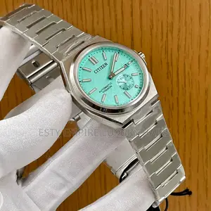 High Quality Luxury Citizen Automatic Chain Watch