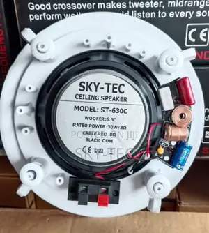 ORIGINAL Professional Sky-Tec Smart Home Pop Ceiling Speaker 30Watts