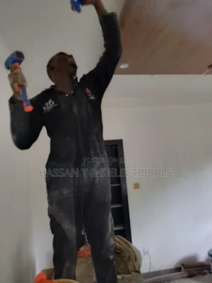 Professional Electrician