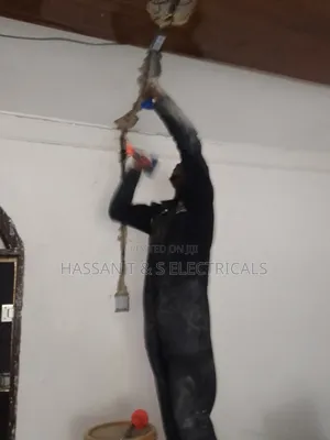 Professional Electrician