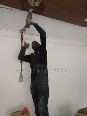Professional Electrician