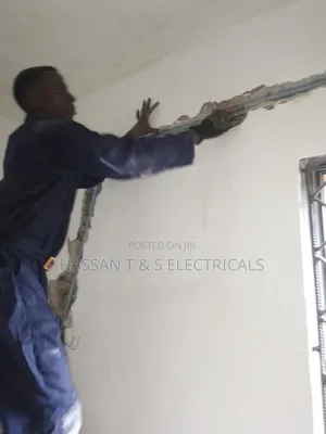 Professional Electrician