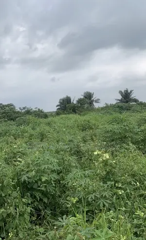 Land in Lagos for Sale Around Epe Local Government