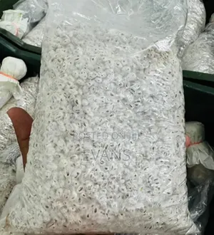 Mushroom Spawn