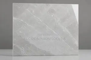 30x60 Goodwill Inkjet Wall Tiles Available