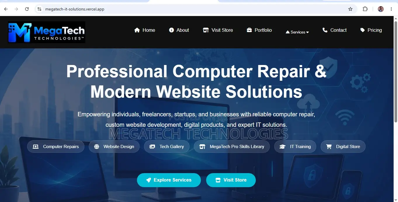 Professional Website Design Services in Nigeria