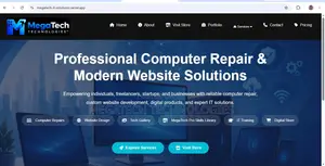 Professional Website Design Services in Nigeria