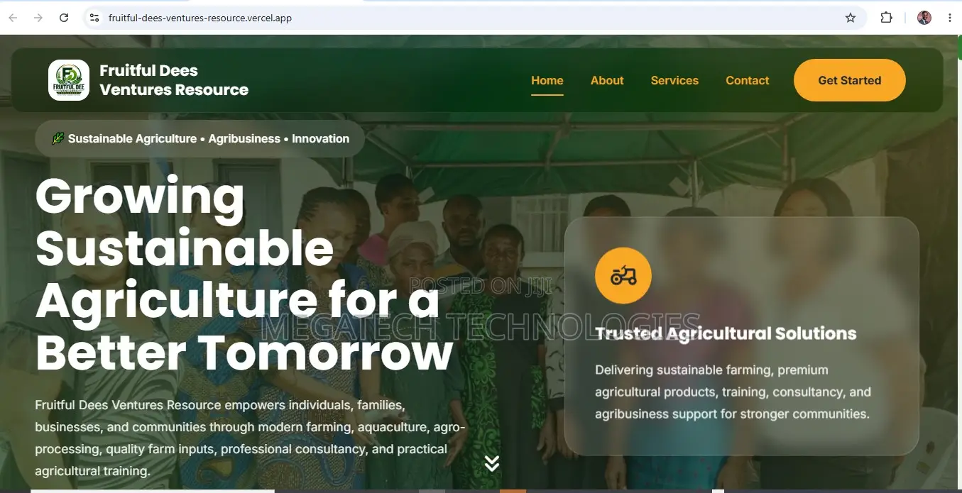 Professional Website Design Services in Nigeria