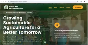 Professional Website Design Services in Nigeria