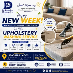 Upholstery Washing