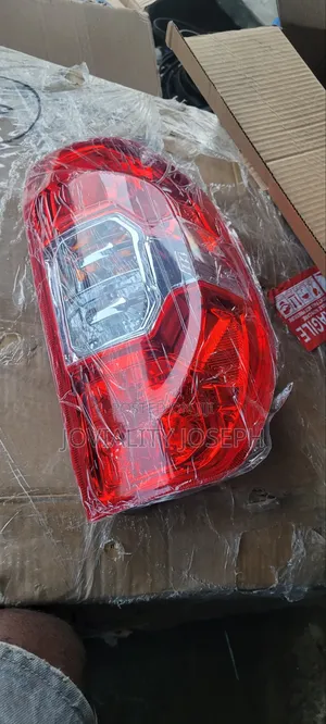 Full Light Maxus T60