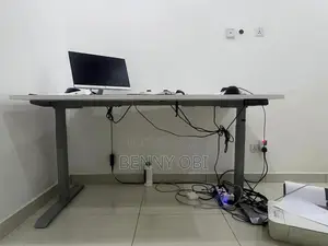 Modern Adjustable Height Electric Standing Desk