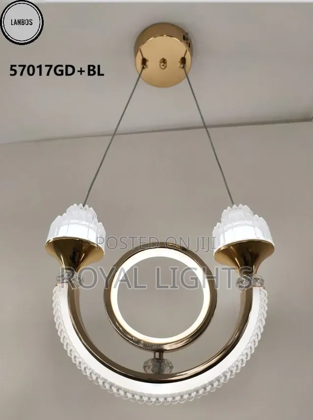 Double Circle Simple Chandelier