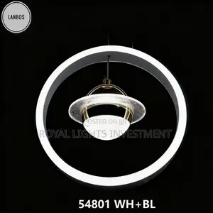 Double Circle Simple Chandelier