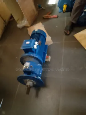Screw Electric Gearmotor