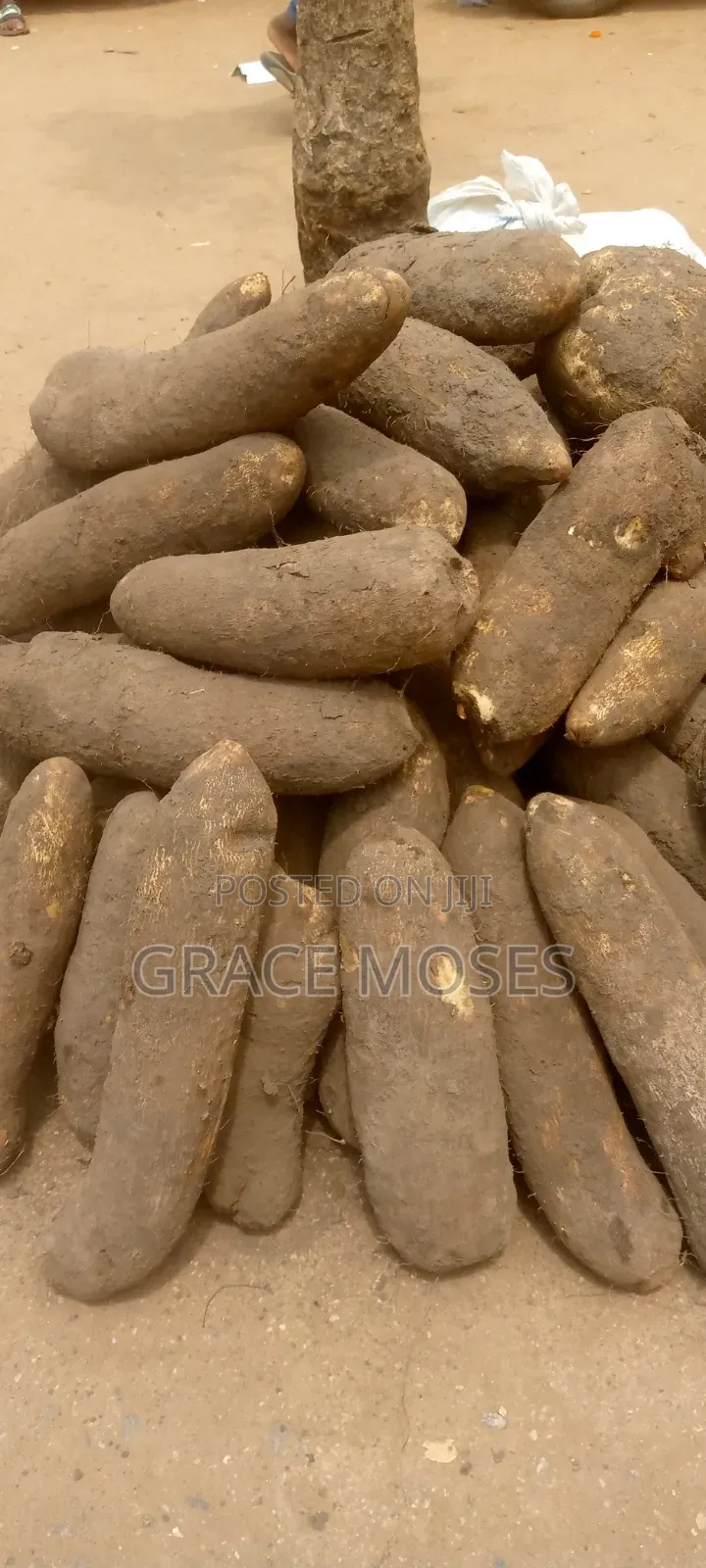 Fresh New Yams