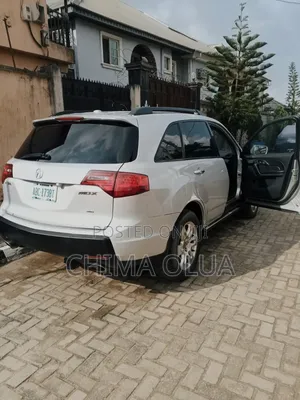 Acura MDX 2009 Silver