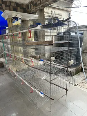 Broiler Battery Cage
