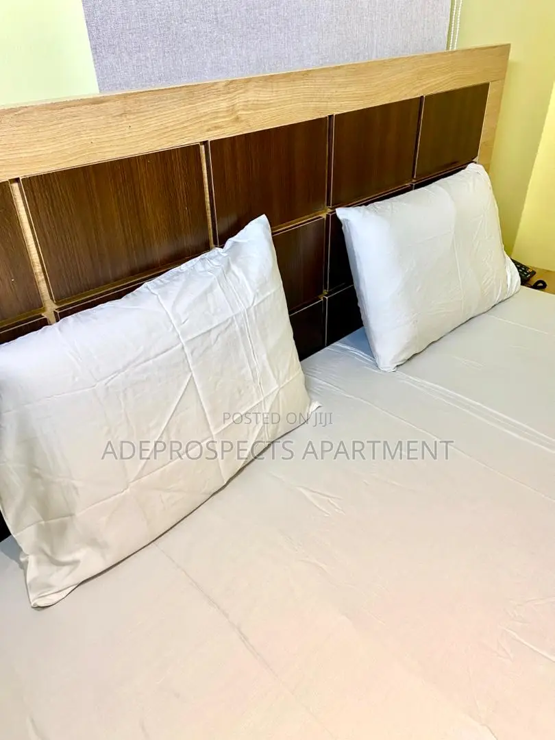 2 Bedroom Luxury Apartment