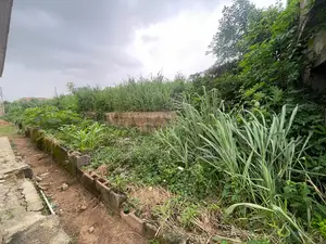 Full Plot of Land in Ikorodu Close to the Road