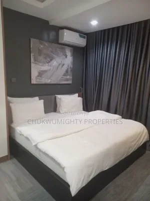 Furnished 1bdrm Apartment in Wuse 2 Apartment for rent