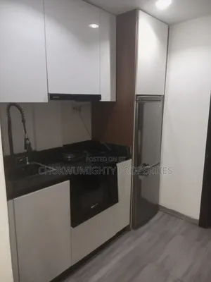 Furnished 1bdrm Apartment in Wuse 2 Apartment for rent
