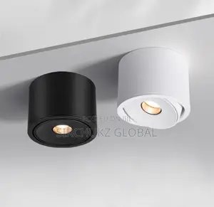 Perfect Light Surface-Mounted COB LED Spotlight