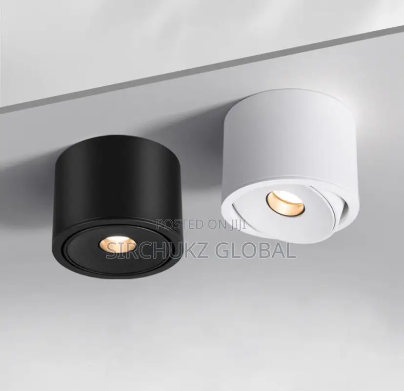 Perfect Light Surface-Mounted COB LED Spotlight