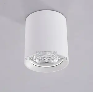 Perfect Light Surface-Mounted COB LED Spotlight
