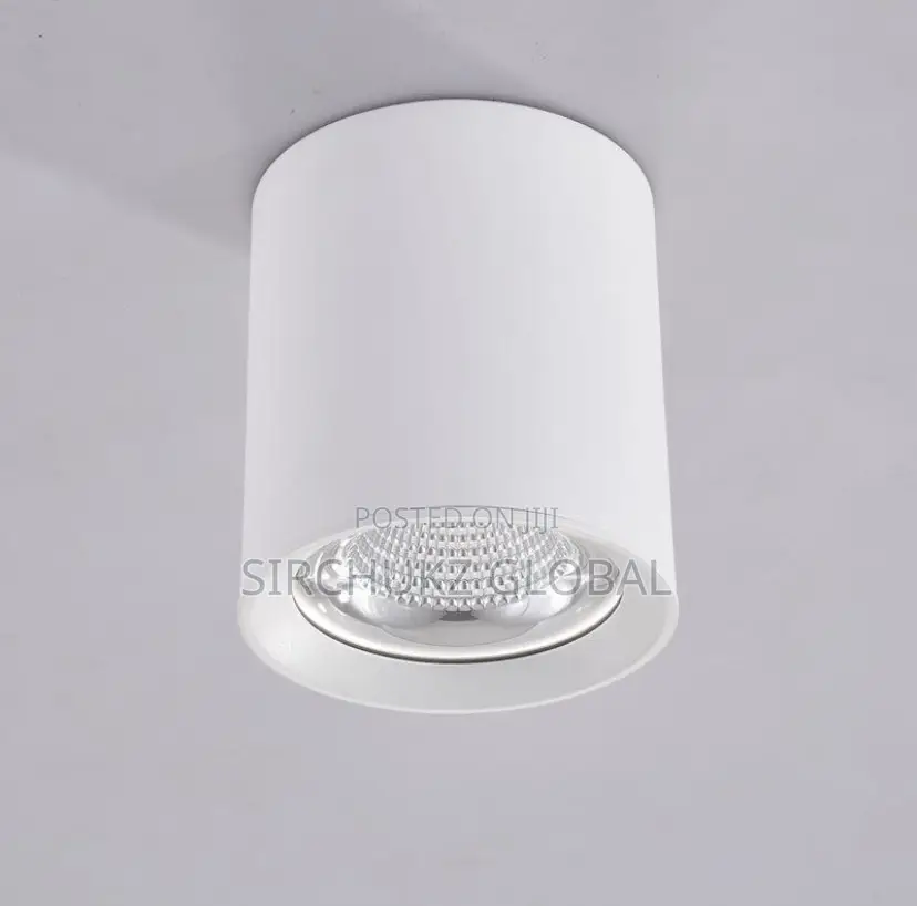 Perfect Light Surface-Mounted COB LED Spotlight
