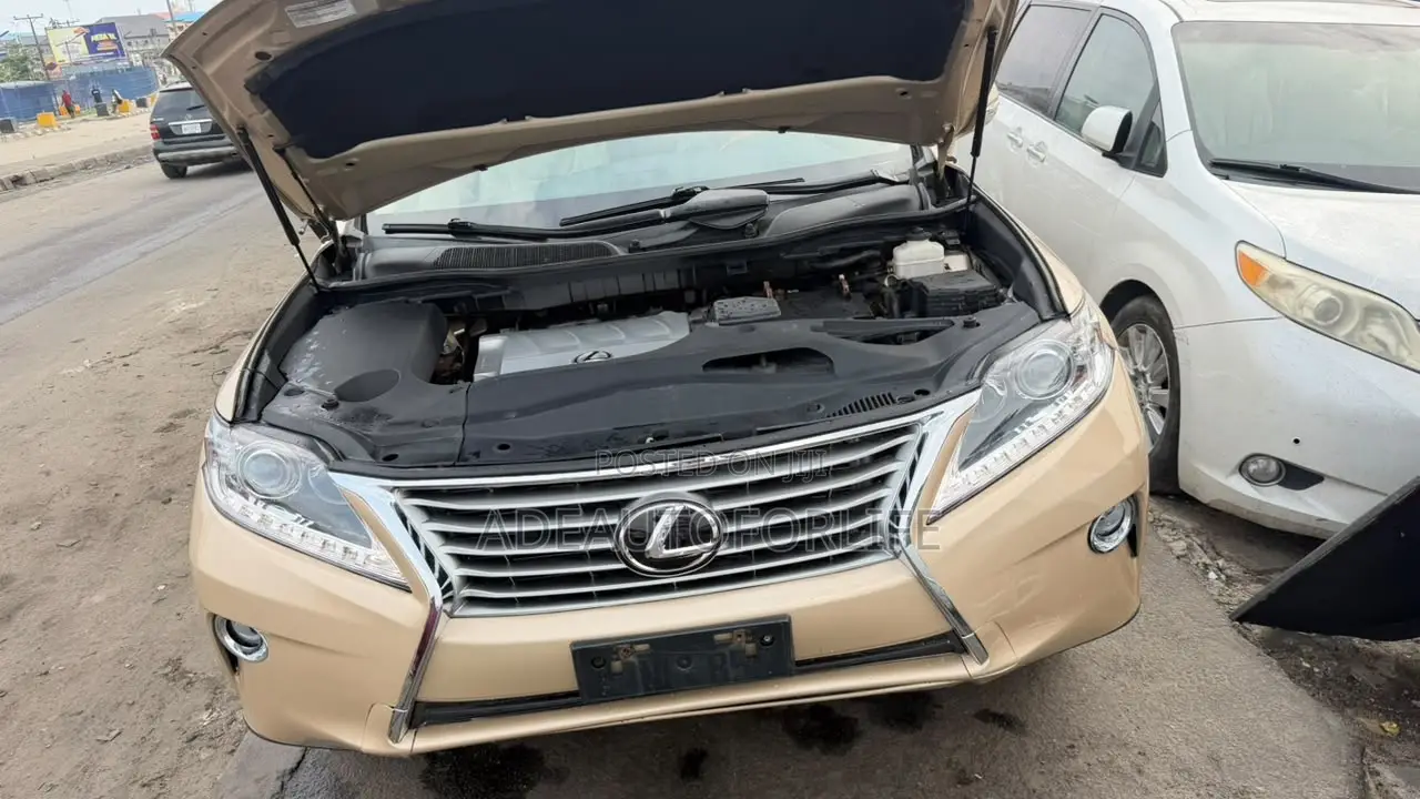 Lexus RX 2010 Gold