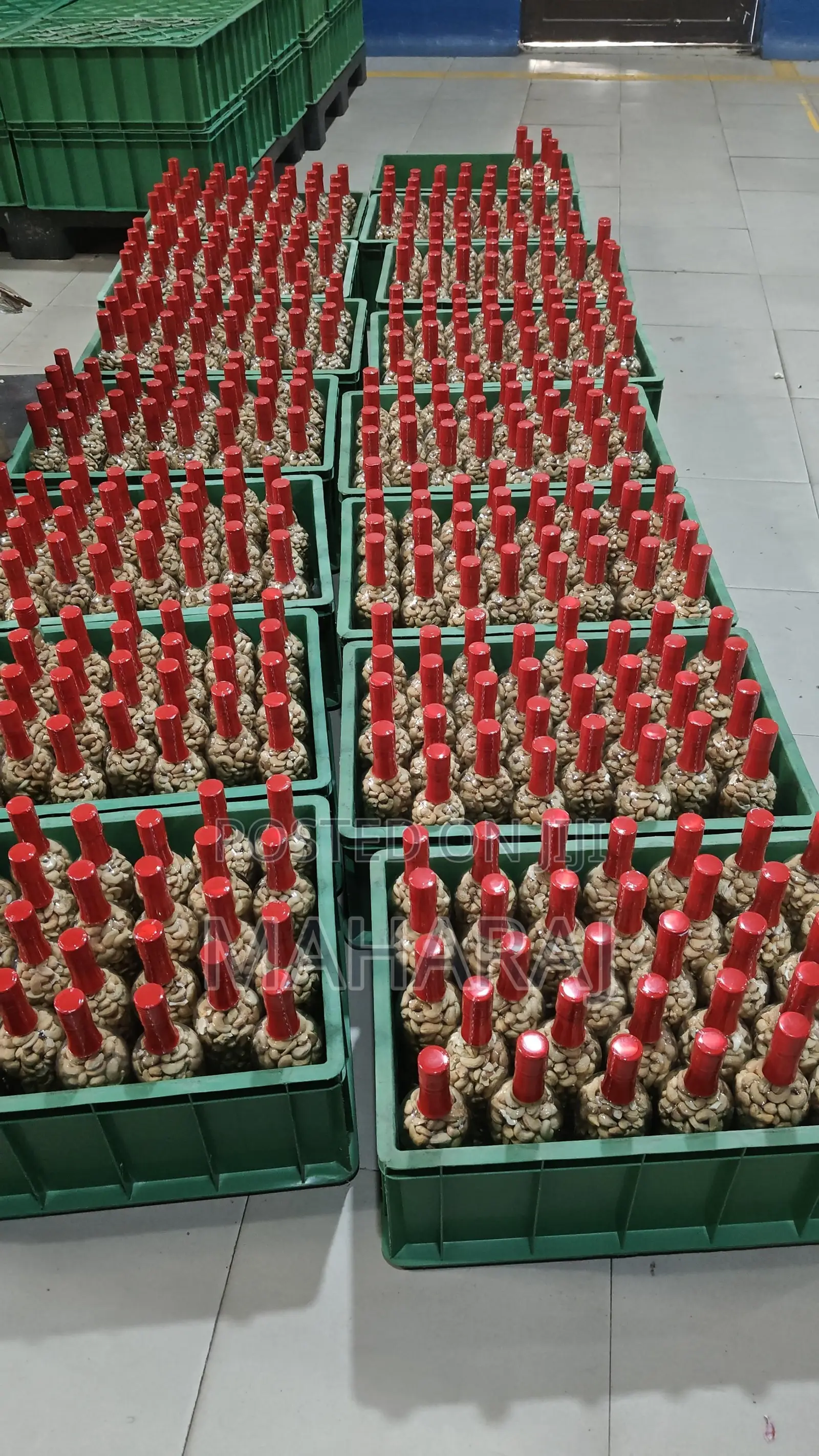 Glass Bottle -Cashew