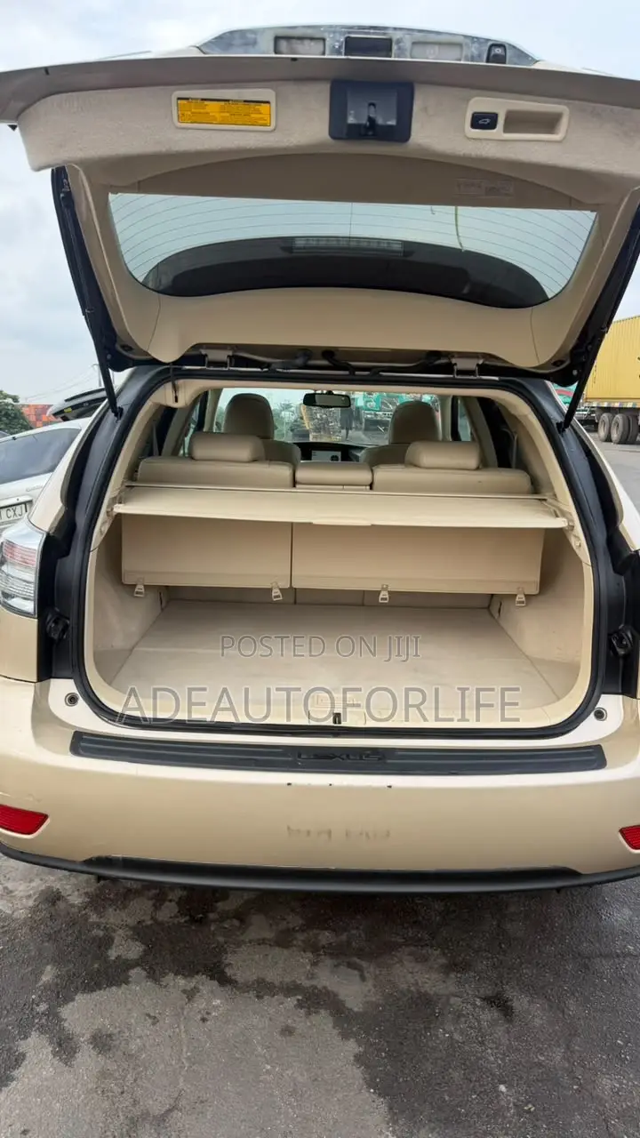 Lexus RX 2010 Gold