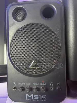 MS16 Studio Monitor