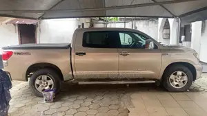 Toyota Tundra 2010 Silver