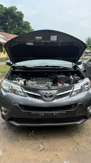 Toyota RAV4 2015 Gray