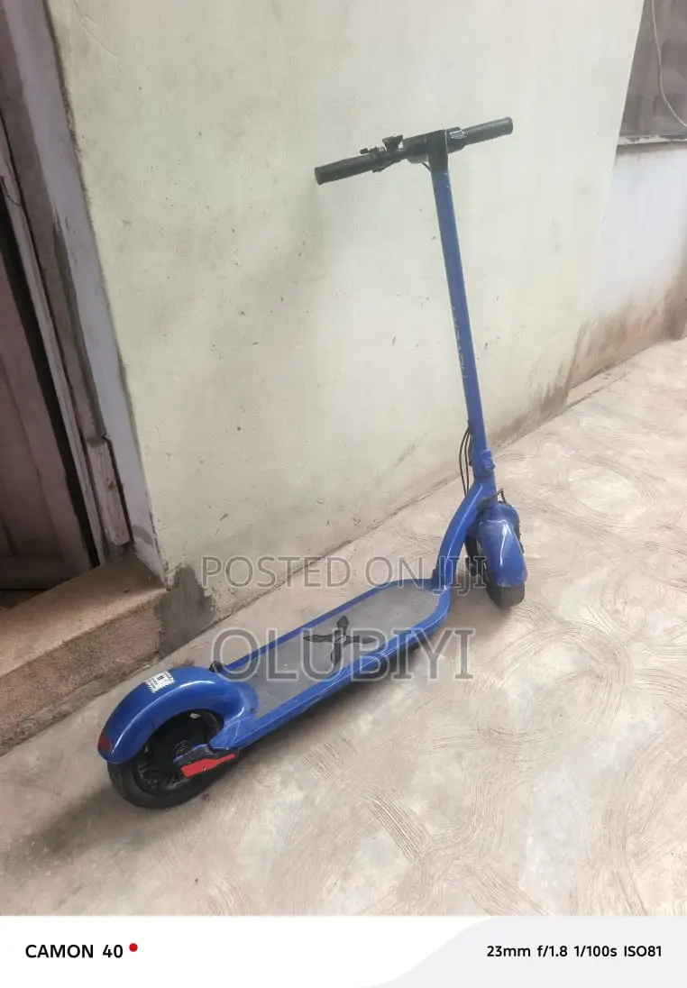 Electric Scooter