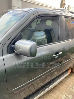 Honda Pilot 2010 Gray