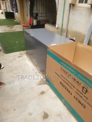 Hisense Ice Cream Business Chest Freezer
