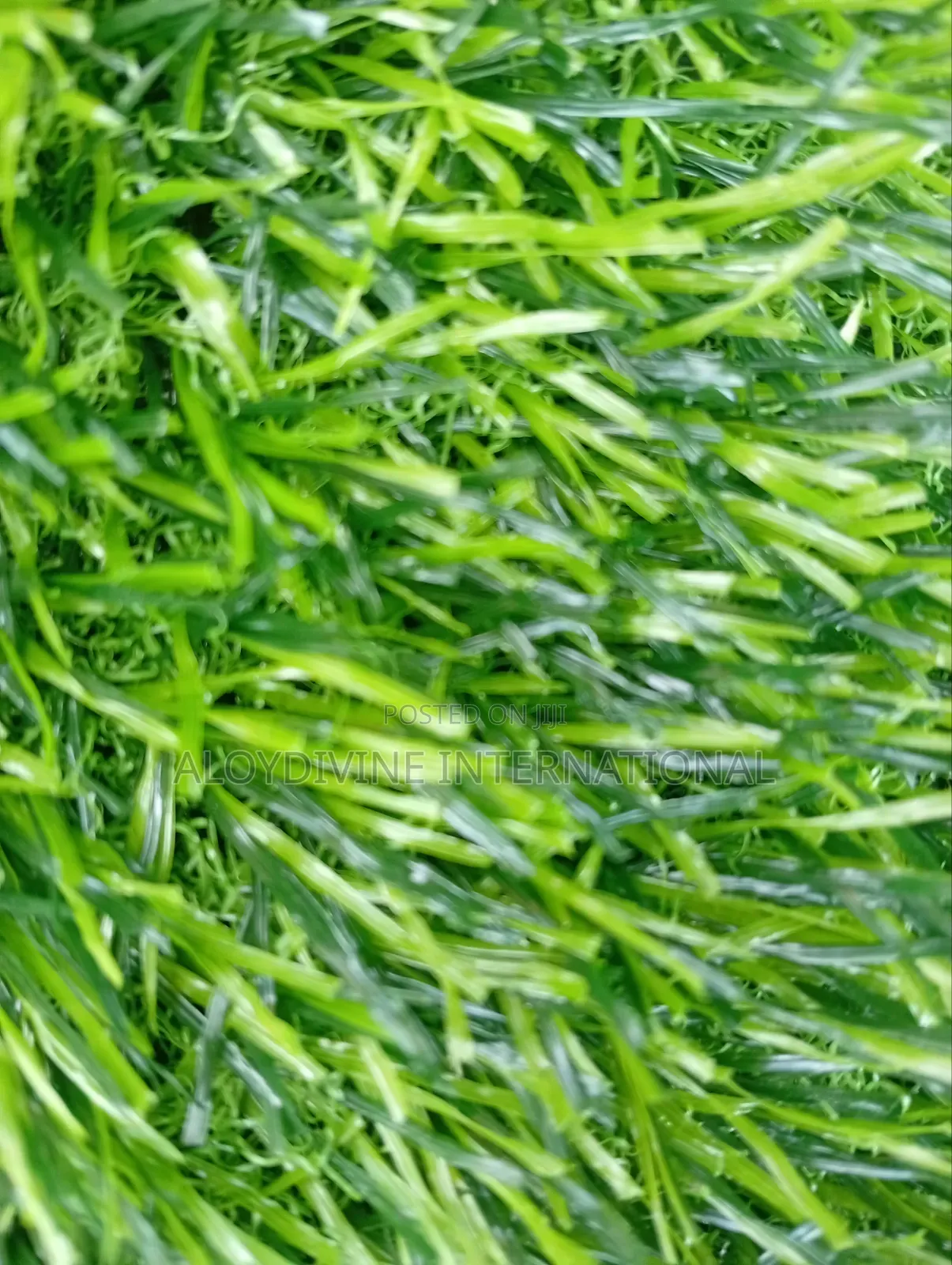 Hard Back Green Grass Carpet 25mm