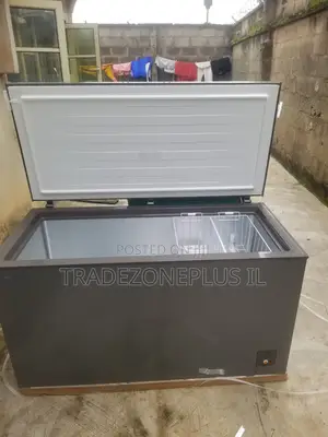Premium Frozen Goods Freezer by Hisense