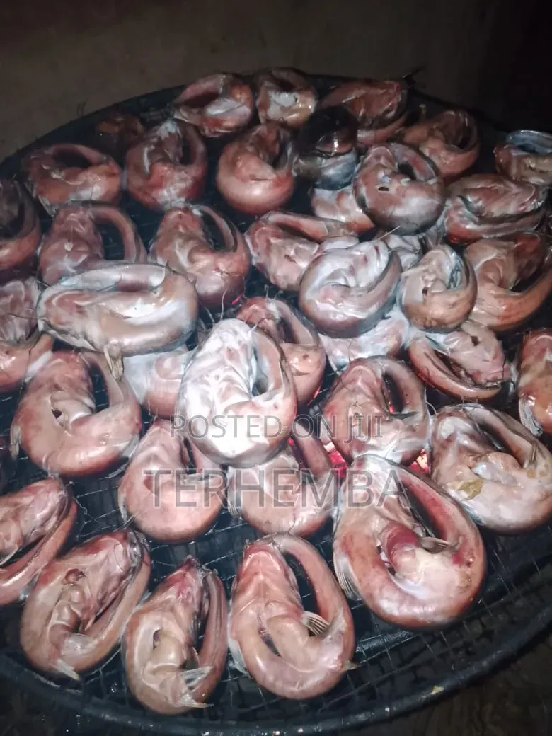 Quality River Smoke Fish for Sell. Well Washed Before Smoking.