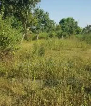 2 and Half Plots Land for Sale Behind Progress Fm Along Iworoko Road