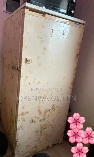 A Single Door Long (Standing) Refrigerator.