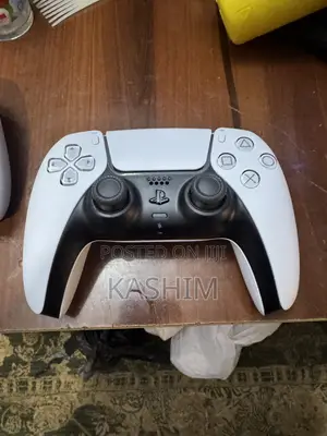 PS5 Controller Pad