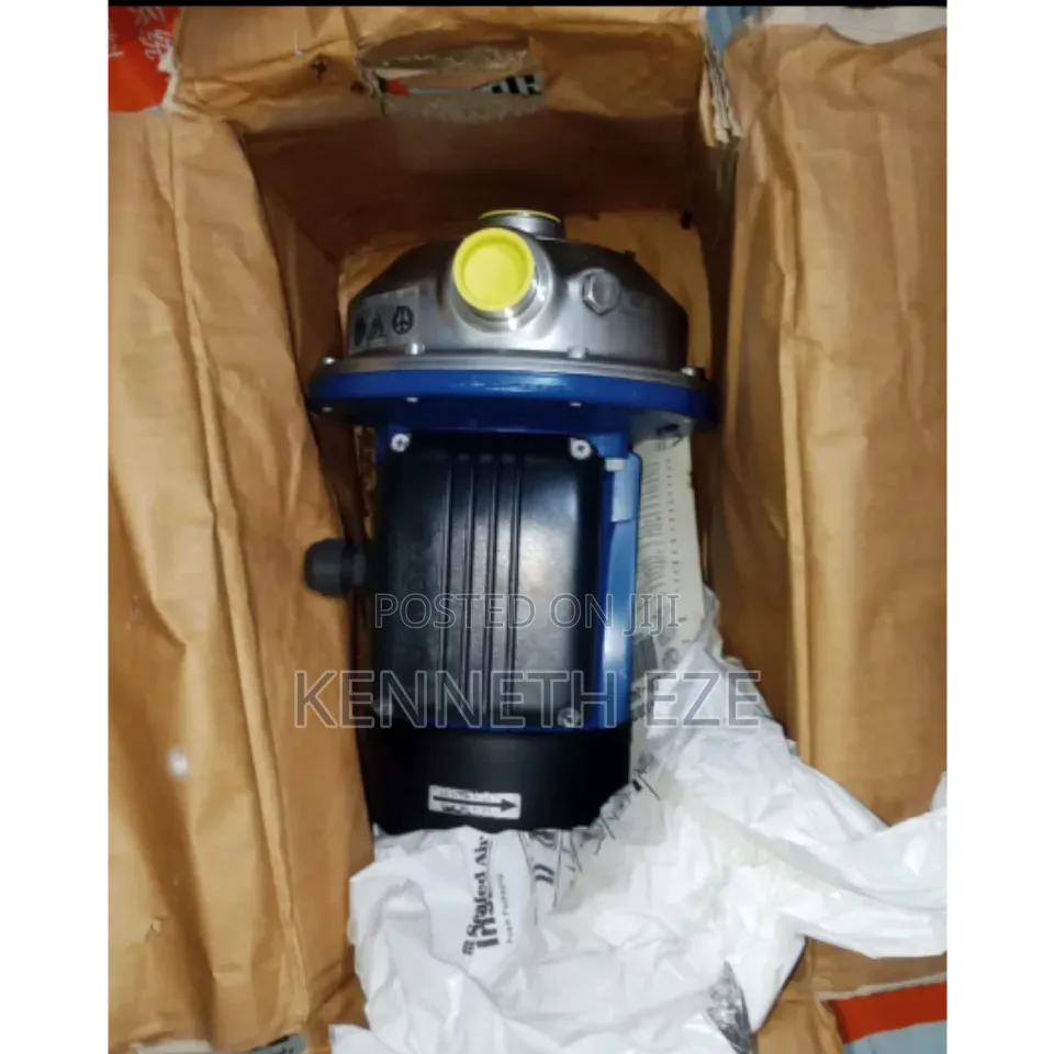 Lowara Surface Pump