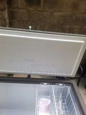 Commercial Quality Hisense Deep Freezer