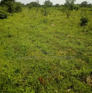 600 Plots of Farm Land for Sale at Odoro , Iyin EKiti