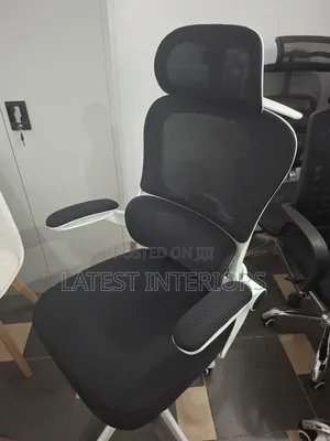Ergonomic Chair